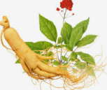 医保卡可购买的维生素,健康保障的新选择